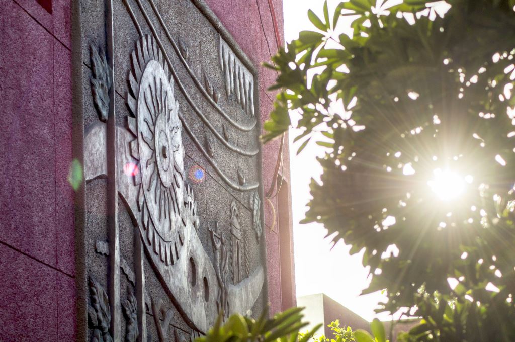 You Do Look Like Me But You Can Not Shine